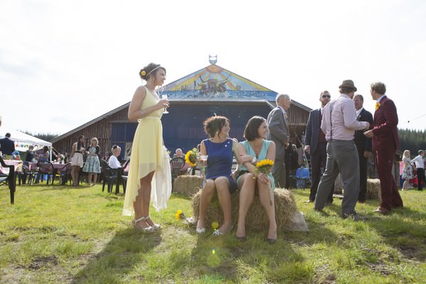 cow shed wedding cow shed wedding