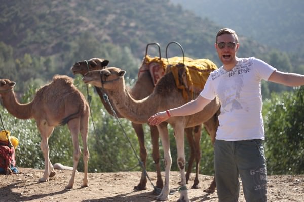 Camels in the Atlas mountains in Marrakesh