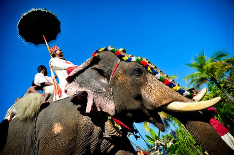 Indian Chinese wedding