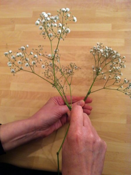 Gypsophila Bouquet