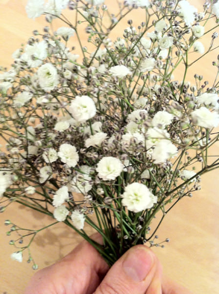 Gypsophila Bouquet