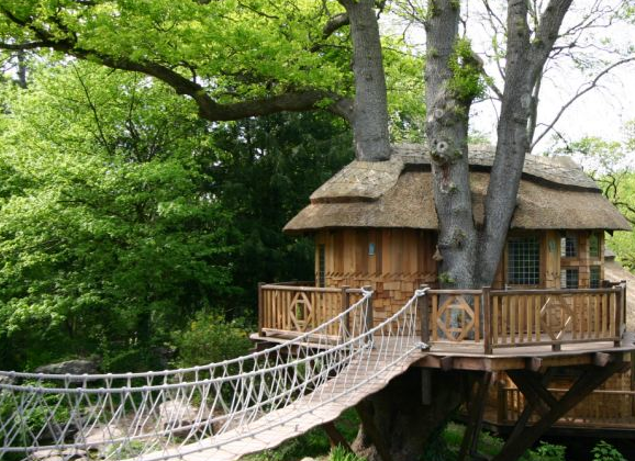 tree house wedding