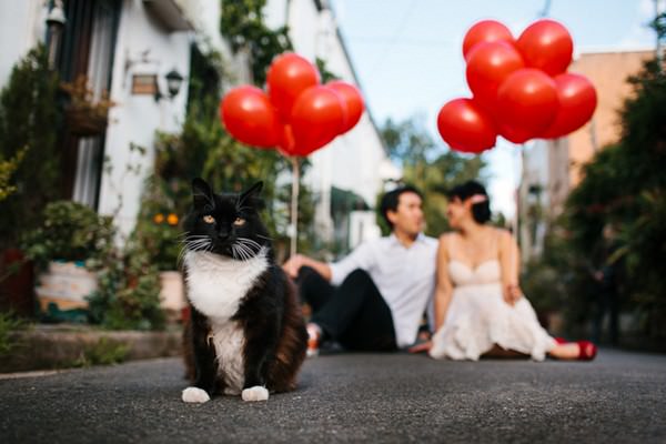 May & Kelvin's Sydney engagement shoot in Cat Alley