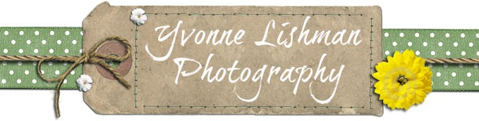Yvonne Lishman Photography