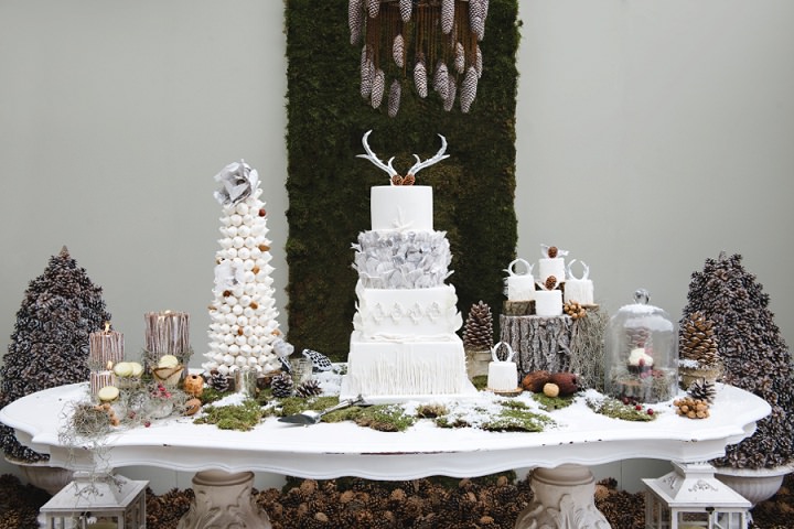 1 Winter Cake Shoot - ‘A Winter’s Tale Of Love’