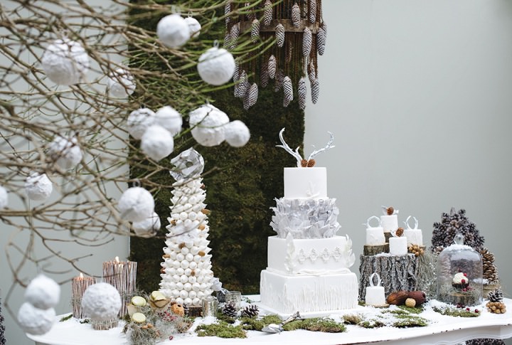 2 Winter Cake Shoot - ‘A Winter’s Tale Of Love’