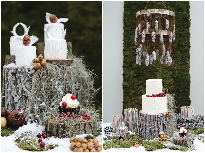 6 Winter Cake Shoot - ‘A Winter’s Tale Of Love’