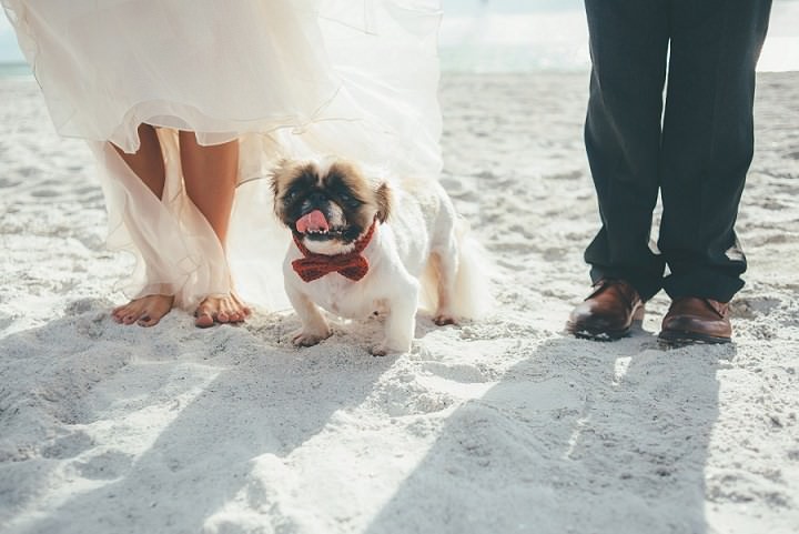 4 Beach to Brewery Wedding By Sadie and Kyle