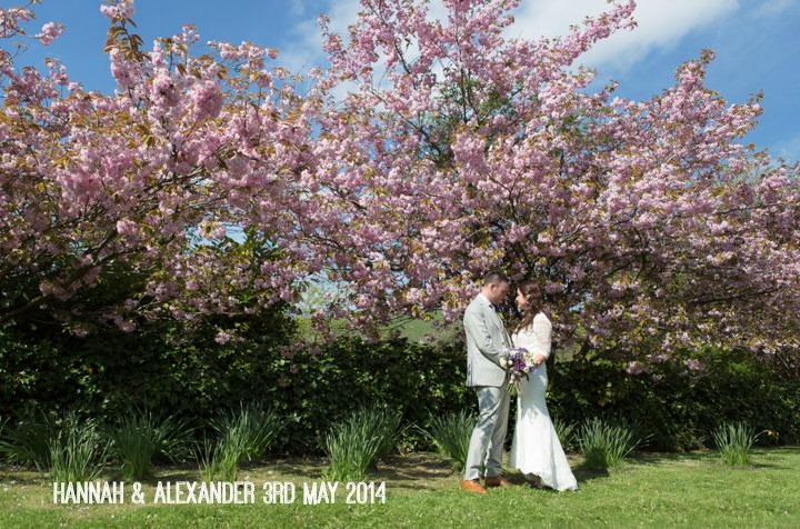 1a DIY Tipi Wedding By Feeling Groovy Photography