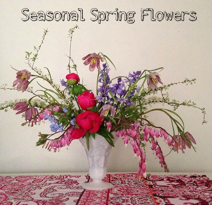 Seasonal Spring Flowers