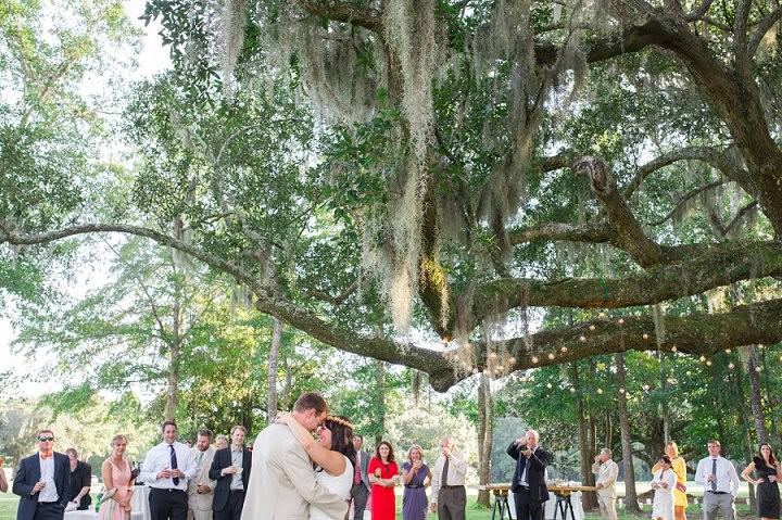 35 Pink and Gold Outdoor Wedding by Priscilla Thomas Photography