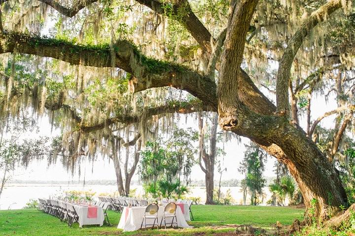 4 Pink and Gold Outdoor Wedding by Priscilla Thomas Photography