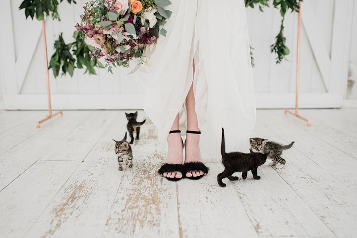 "The Purrfect Day" Super Cute Kitten Wedding Inspiration