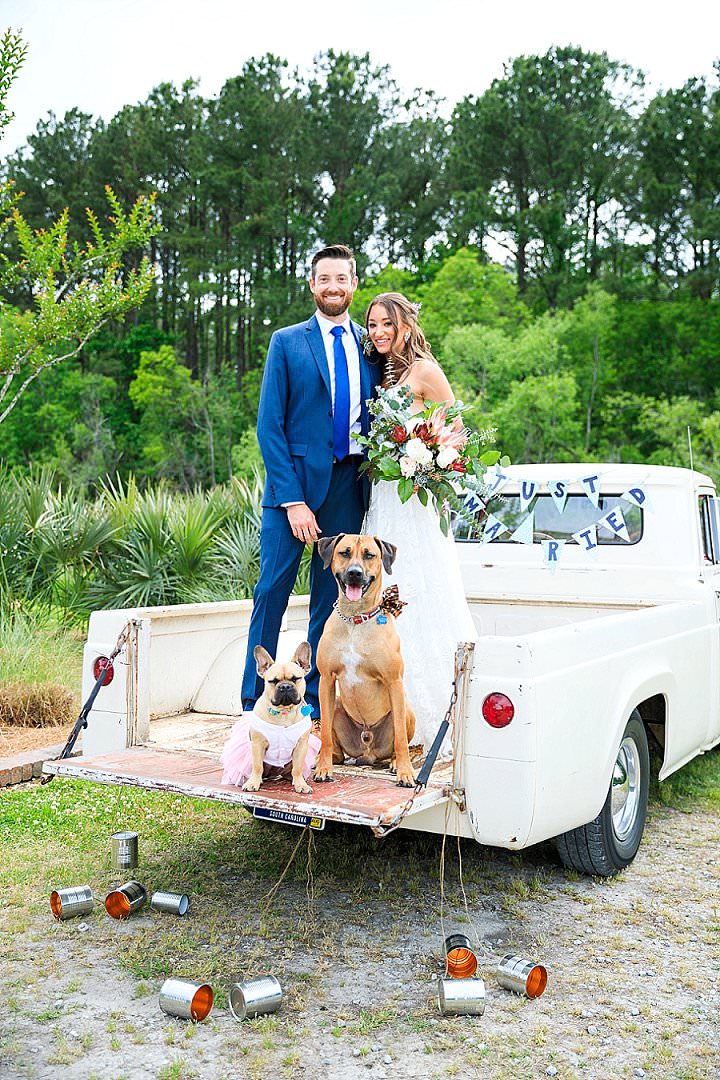 Ask The Experts: How to Involve Your Pets at Your Wedding