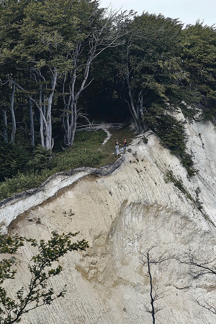 On top of Møn’s Klint is a dense forest that offers bike trails and cycling routes, a perfect activity before or after your elopement wedding.