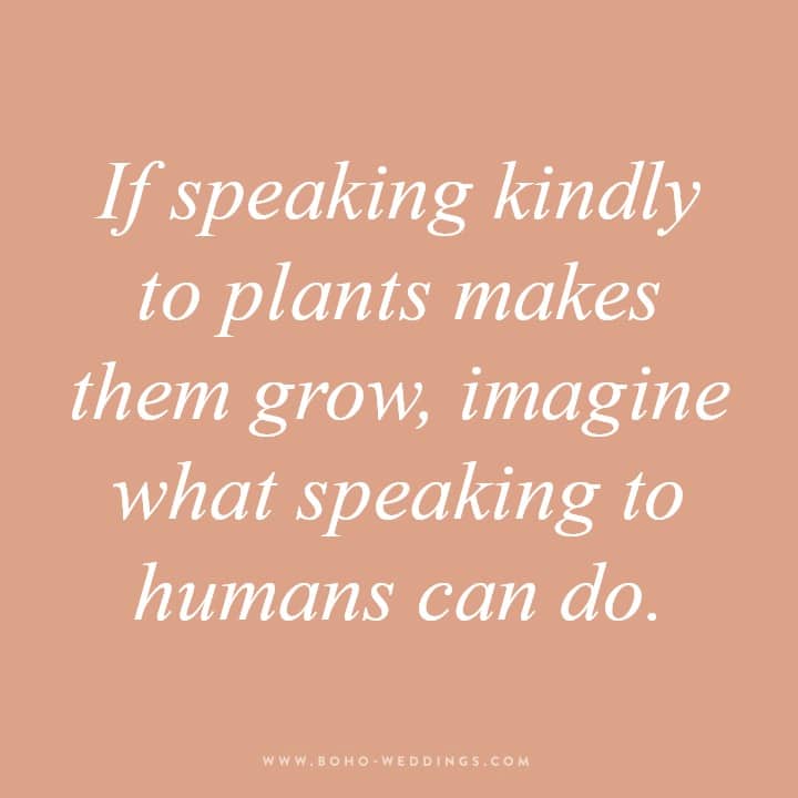 365 Happiness Project 2020 – Quote 164